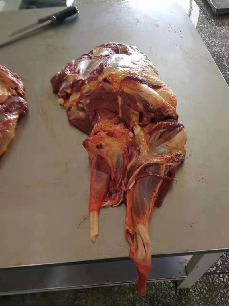 马肉
