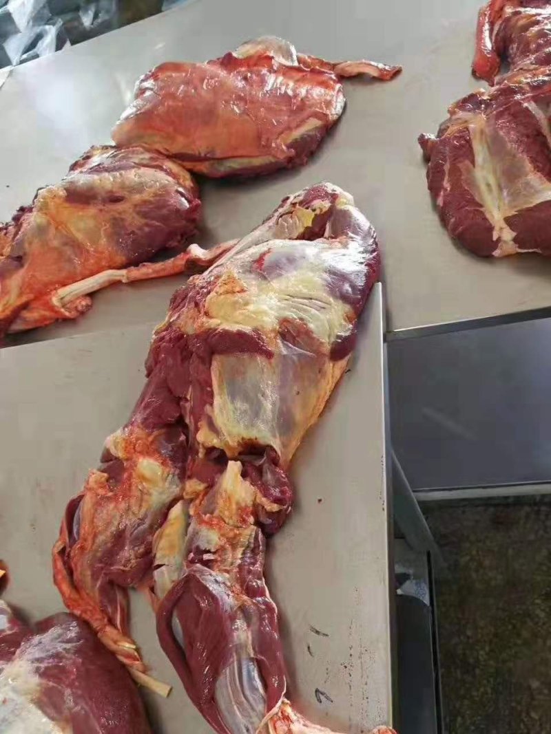 马肉