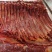 马肉