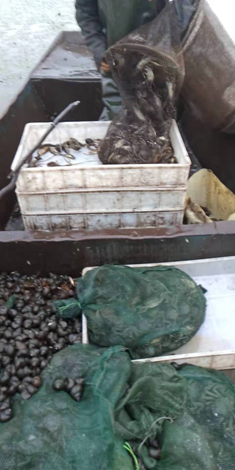 河蟹，水库放养，产量大满黄满膏，采购地区最好是东三省