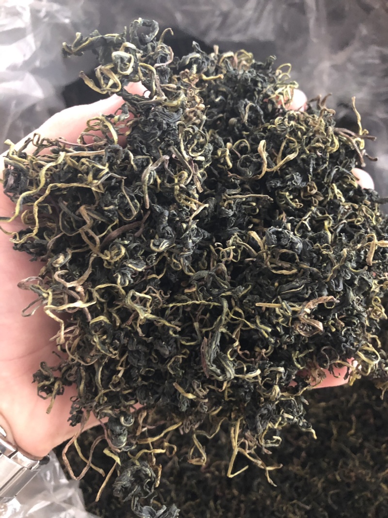 【舜波中药材】蒲公英茶量大从优