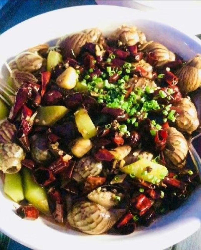 丰县旺洋白玉蜗牛养殖基地