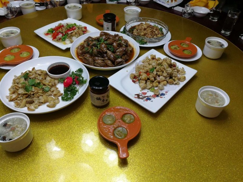 丰县旺洋白玉蜗牛养殖基地