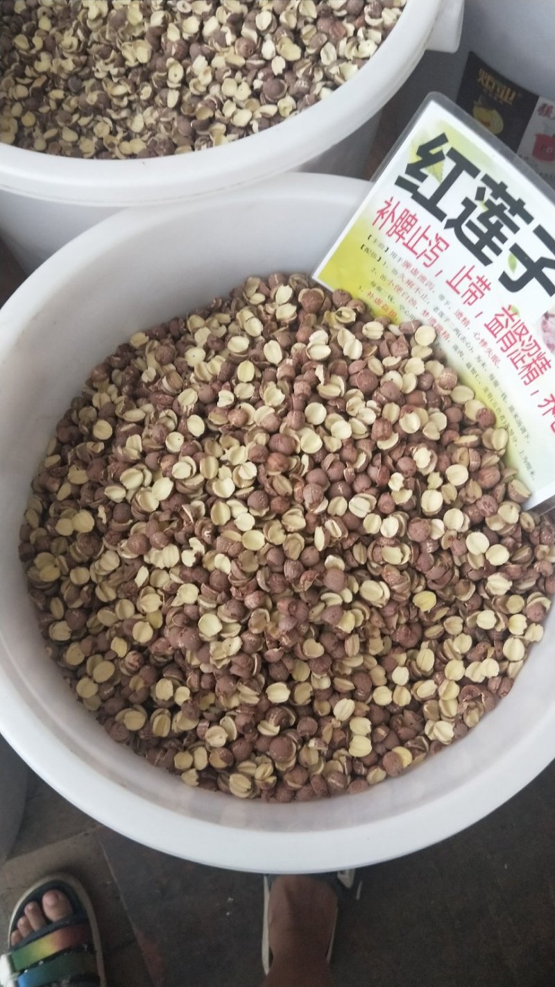 莲子