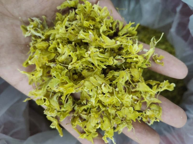 铁皮石斛花