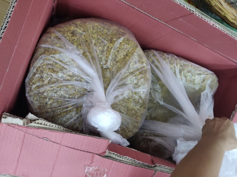 铁皮石斛花