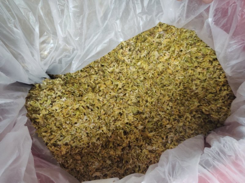 铁皮石斛花