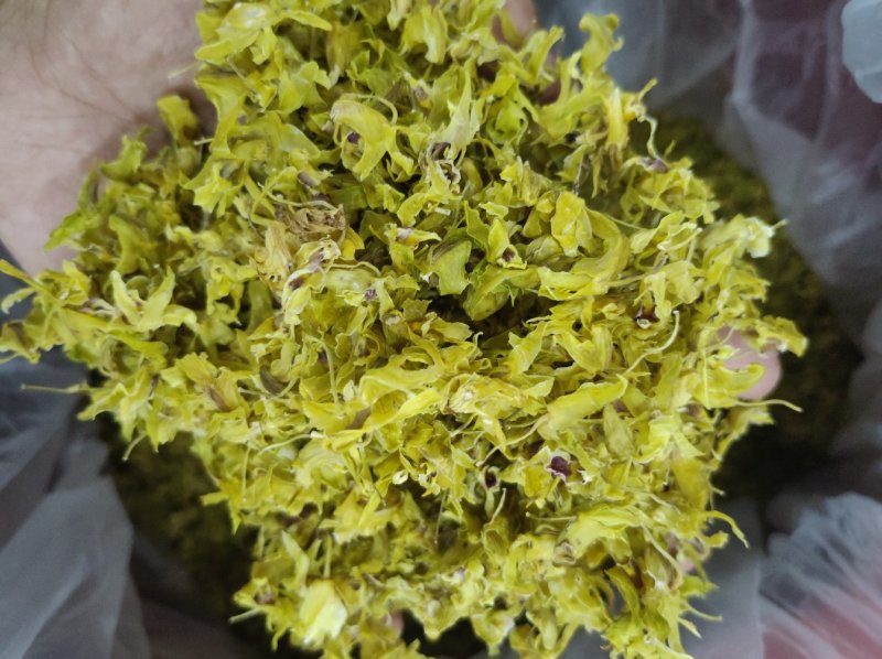 铁皮石斛花