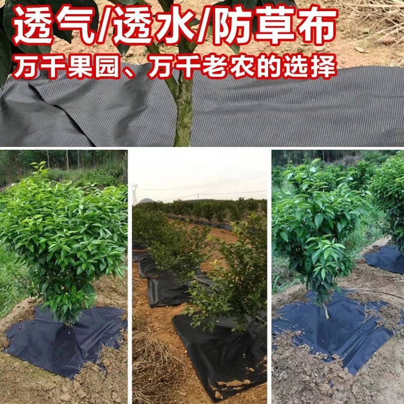 生态防草布果园地布园艺除草布降解布除草盖草地膜农用果树