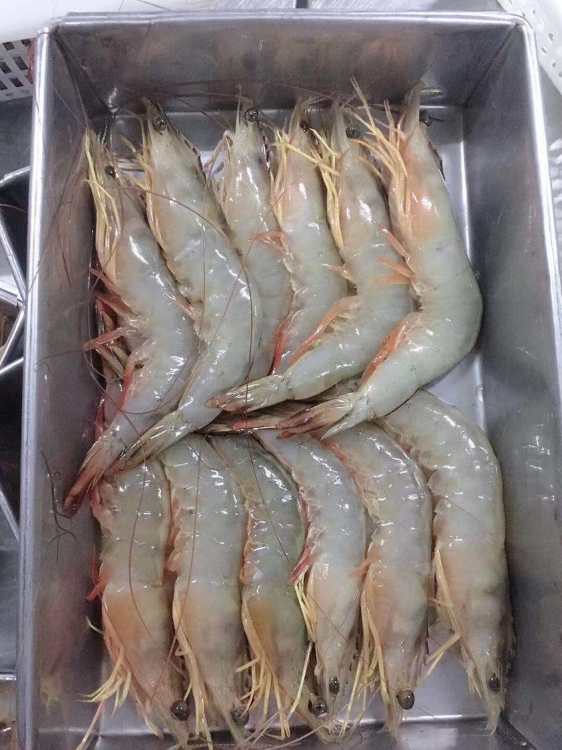 大明虾