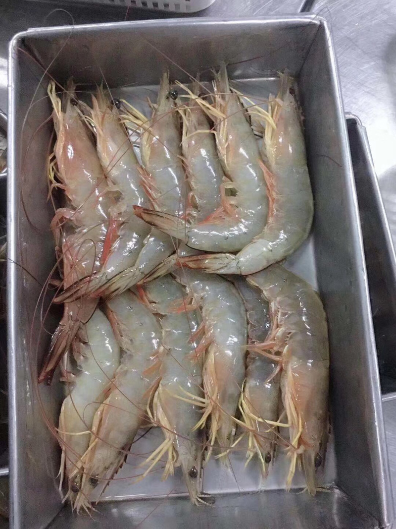 大明虾