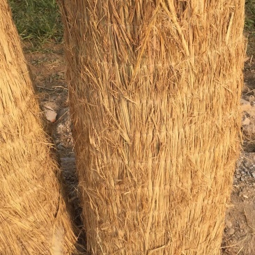 供应温室大棚草帘，养殖棚草帘