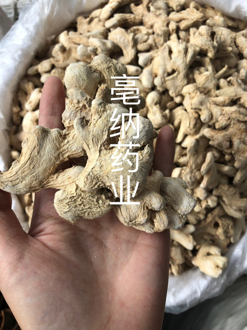 香料干姜个1公斤起批干姜块干姜片