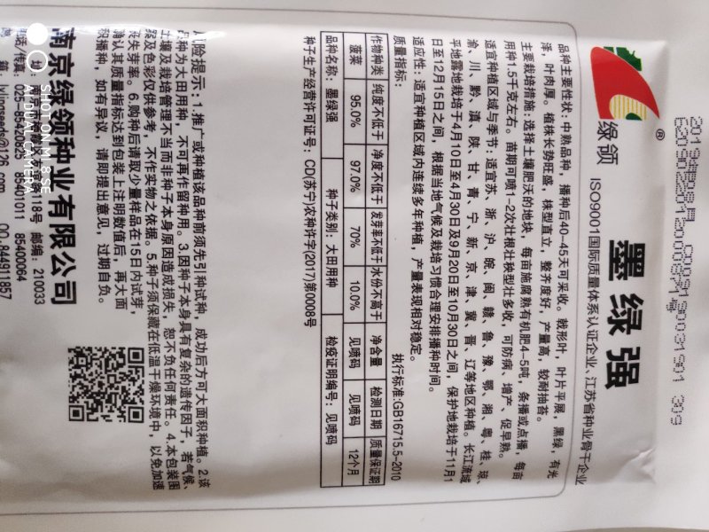 绿领墨绿强菠菜种子中熟叶色墨绿有光泽叶肉厚产量高