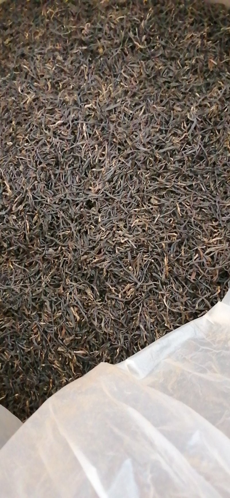 祁门红茶单牙，特级核心产区一手货源。