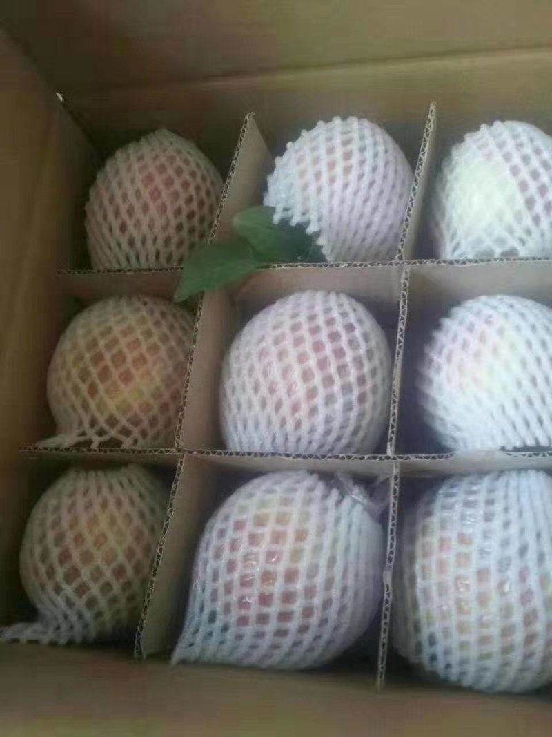 【山西嘎啦红苹果—精品果】，，，，，，，，，，