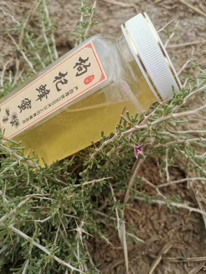 蜂蜜2021年枸杞蜂蜜高原枸杞蜂蜜青海柴达木盆地枸杞蜜