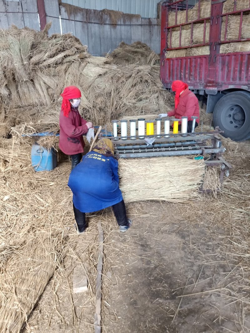 濮阳县会更稻草加工示范社供应各种规格草帘，草绳
