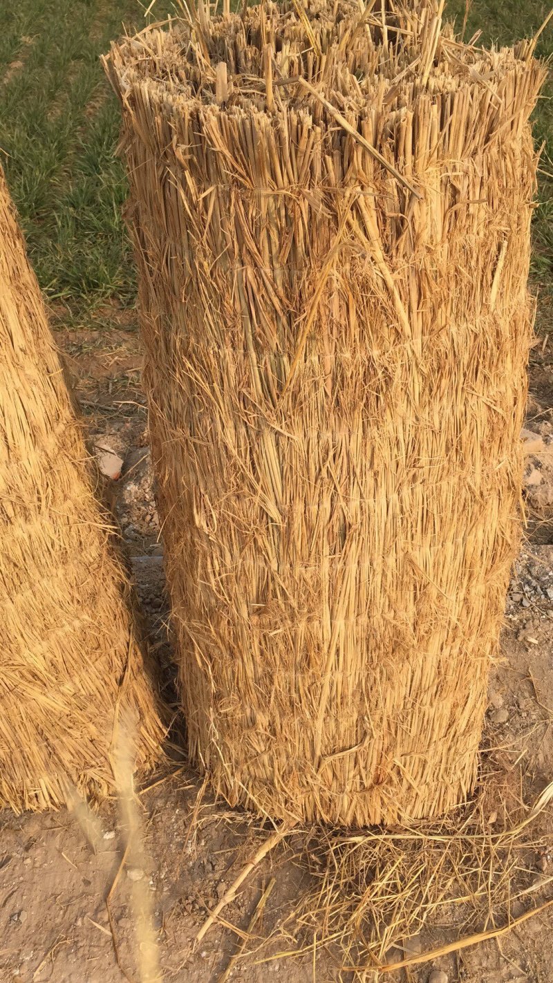稻草常年供应量大从优