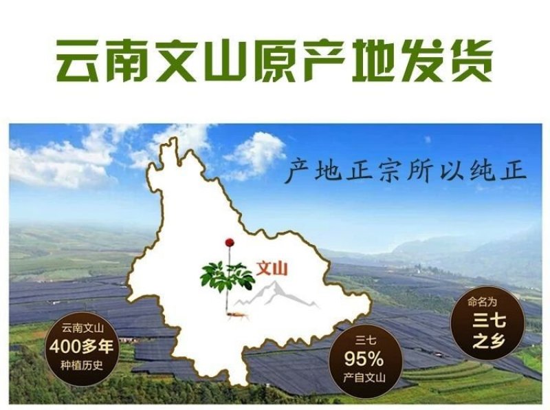 【产地直供】云南文山春三七粉田七粉超细粉自产自销包邮