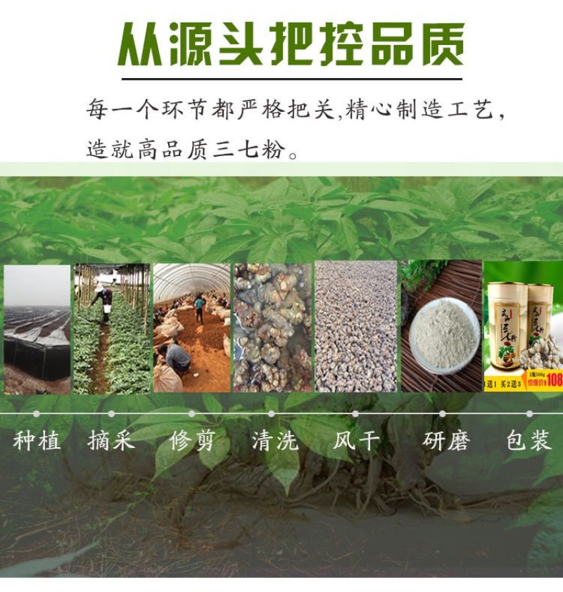 【产地直供】云南文山春三七粉田七粉超细粉自产自销包邮