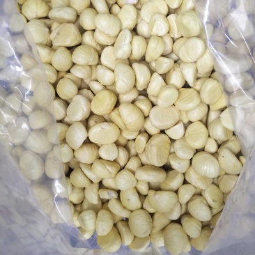 新鲜板栗