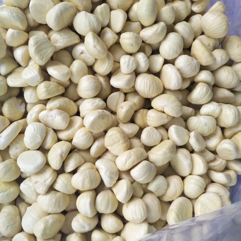 新鲜板栗