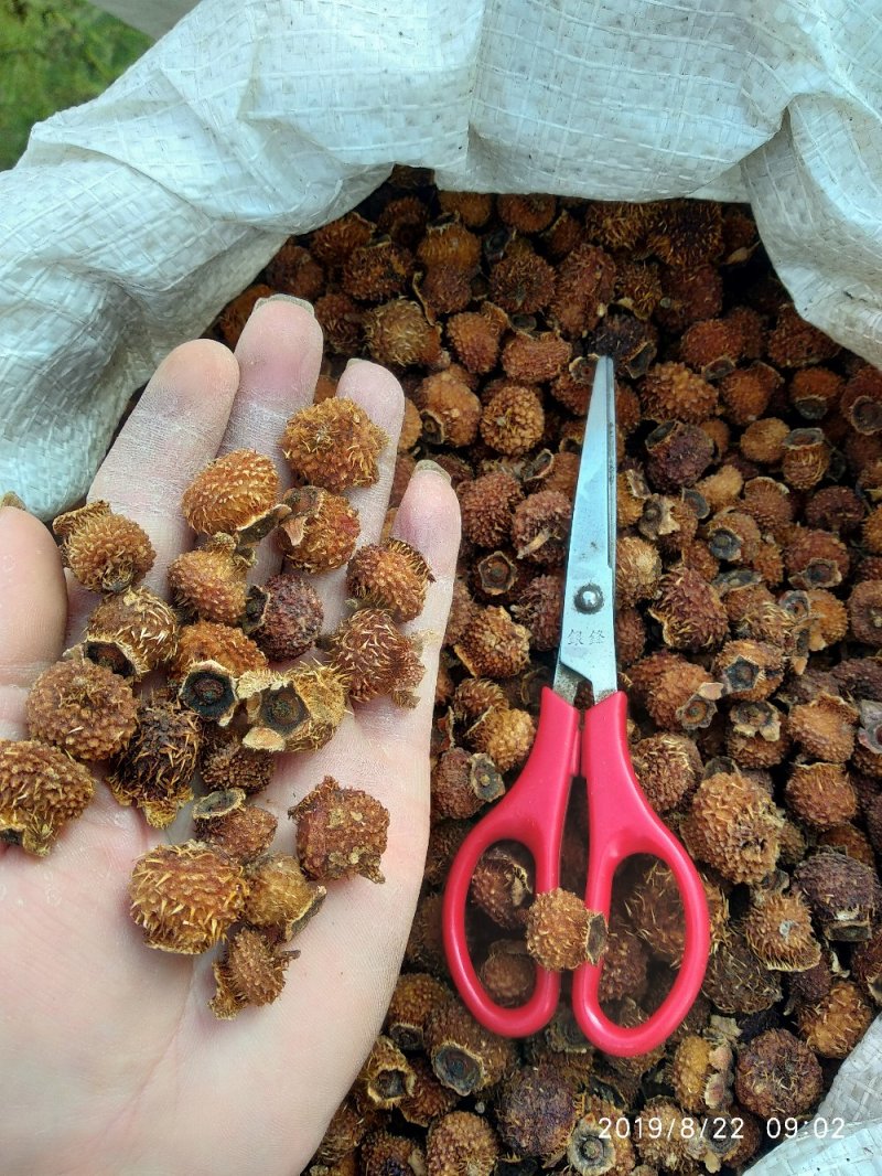 贵州铜仁无硫刺梨干果色黄去刺干刺梨泡水泡茶泡酒喝气香味甜