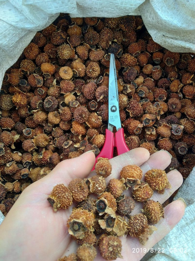 贵州铜仁无硫刺梨干果色黄去刺干刺梨泡水泡茶泡酒喝气香味甜