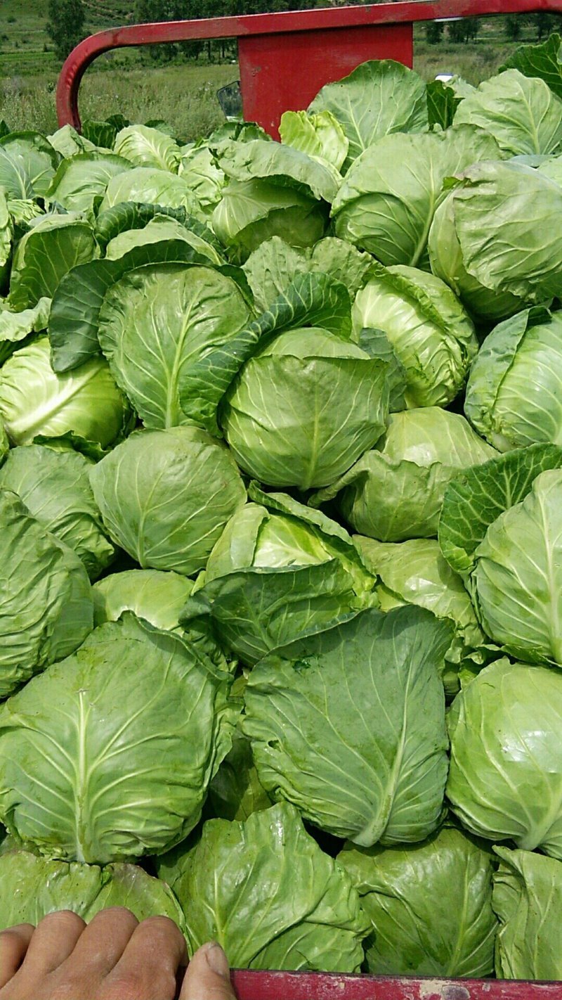 又降价了，