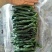 黄瓜妞，加工厂用黄瓜，腌制黄瓜，黄瓜半成品