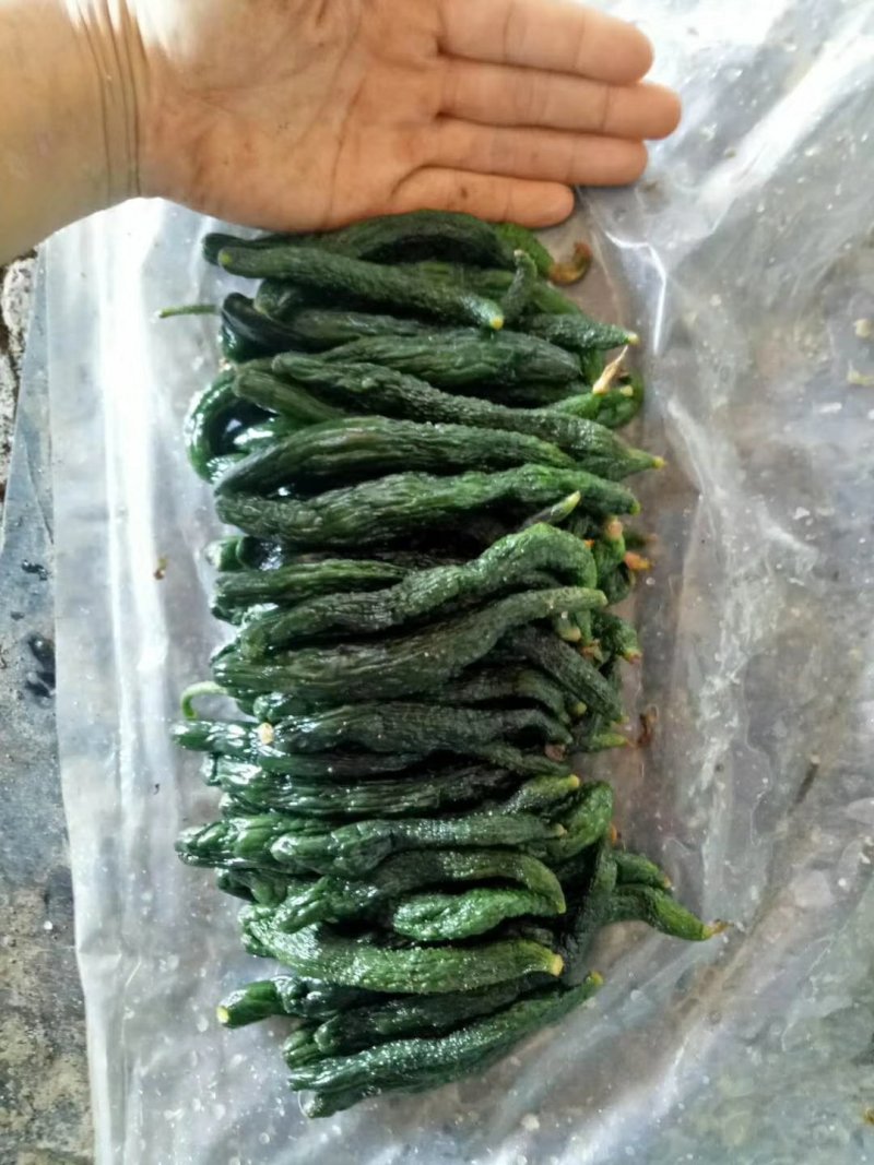 黄瓜妞，加工厂用黄瓜，腌制黄瓜，黄瓜半成品