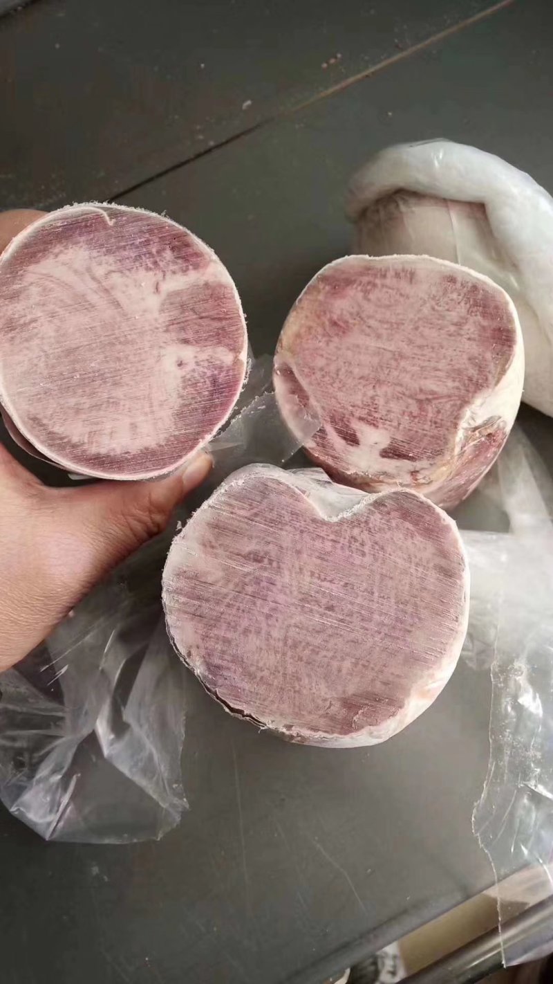 纯白大牛舌