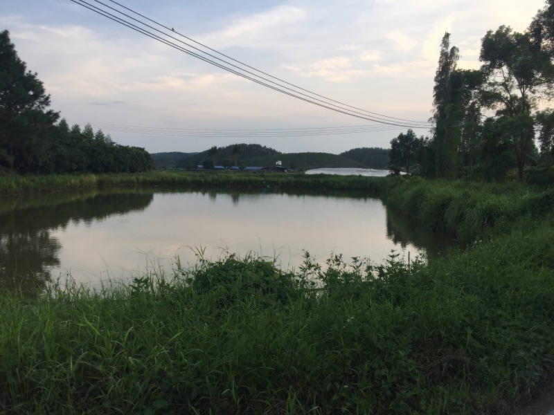 鱼塘出租