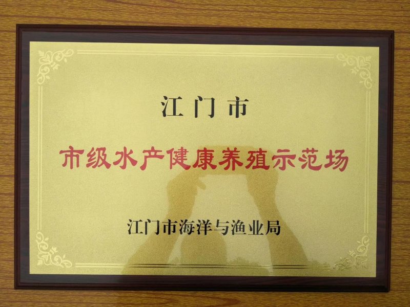 基地直供广东江门市包装饲料养殖花鲶，塘头价。