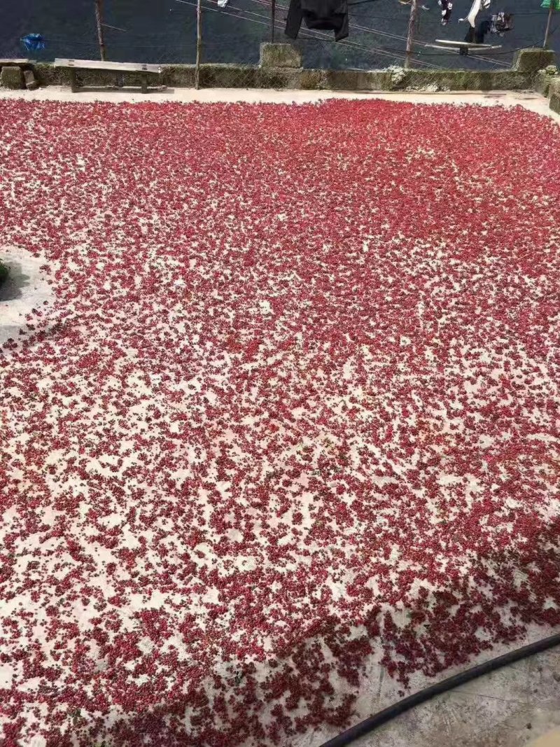 干花椒