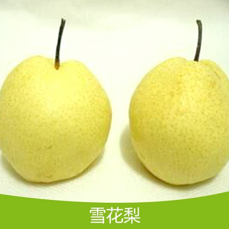泸西高原梨地理坐标产品，精品雪花梨，有需要的老板赶紧联系