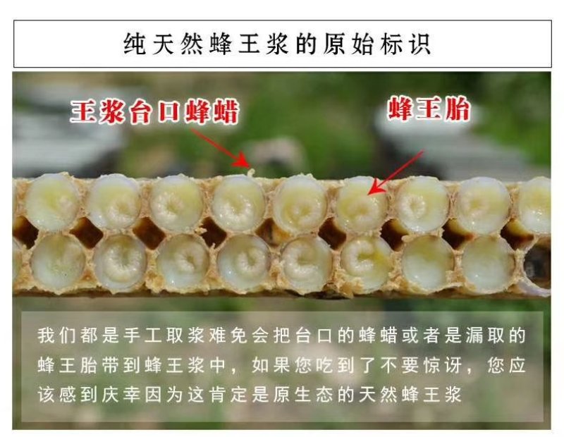 蜂王浆