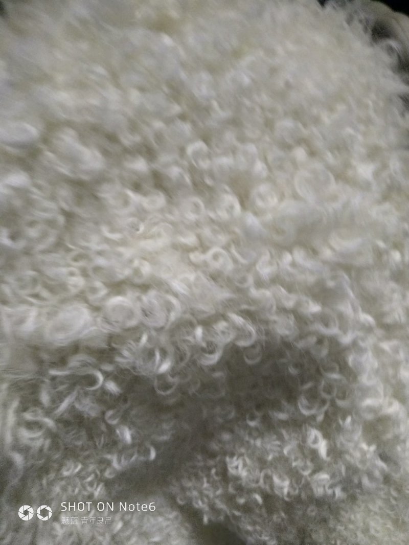 羊皮