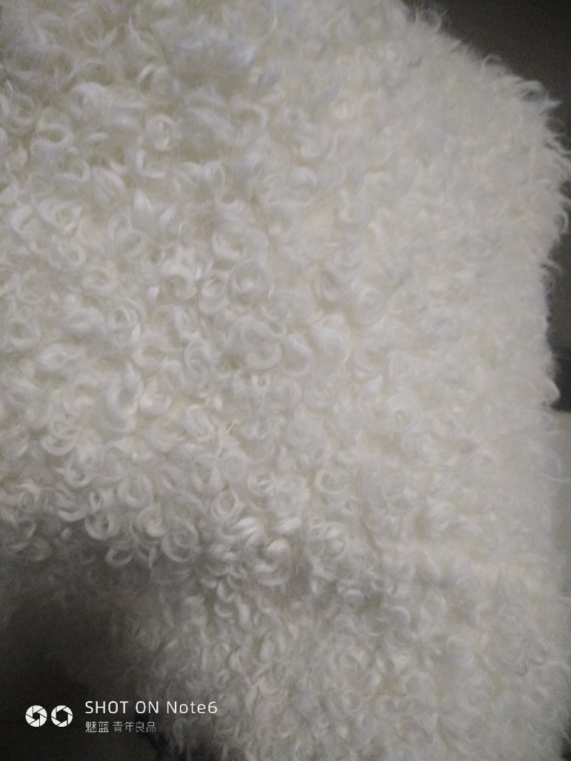 羊皮