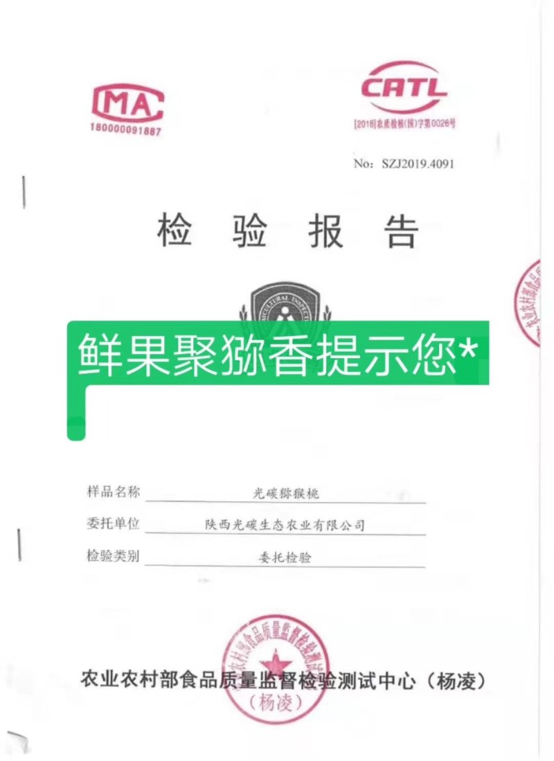 徐香（绿肉）年发现的新芽变原生态猕猴桃一件包邮