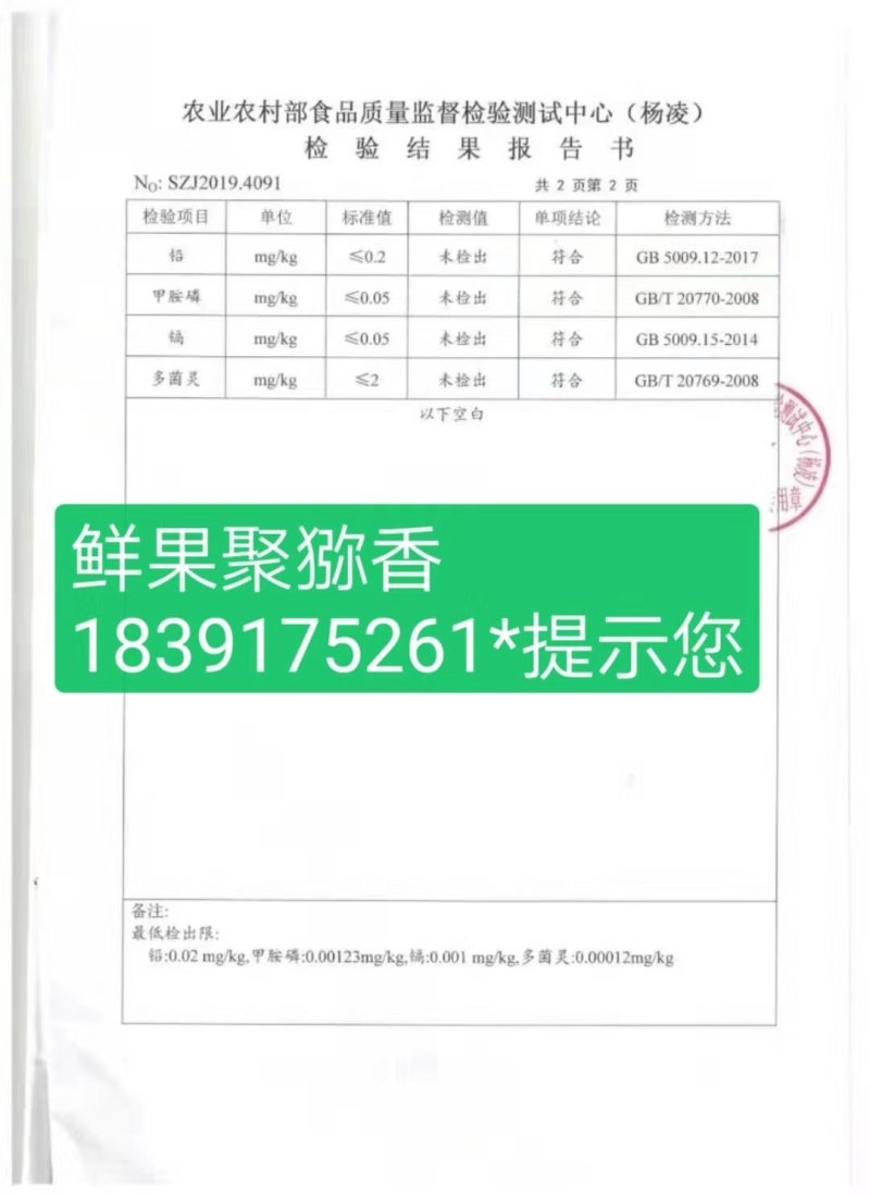 徐香（绿肉）年发现的新芽变原生态猕猴桃一件包邮