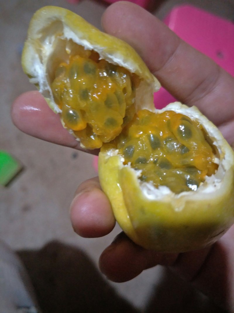 黄金百香果芭乐味