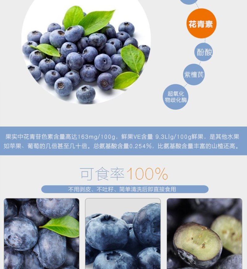蓝莓苗蓝丰美登等品种全基地直供浩海浆果