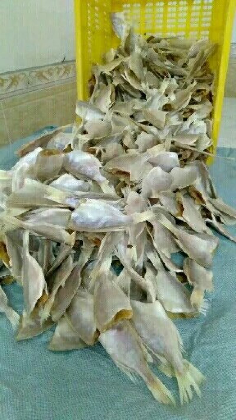 鱼干