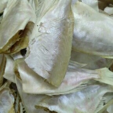 鱼干