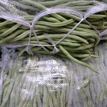 架豆王豆角