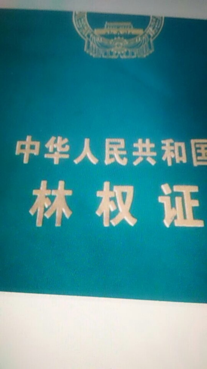 林地转让“杨树”