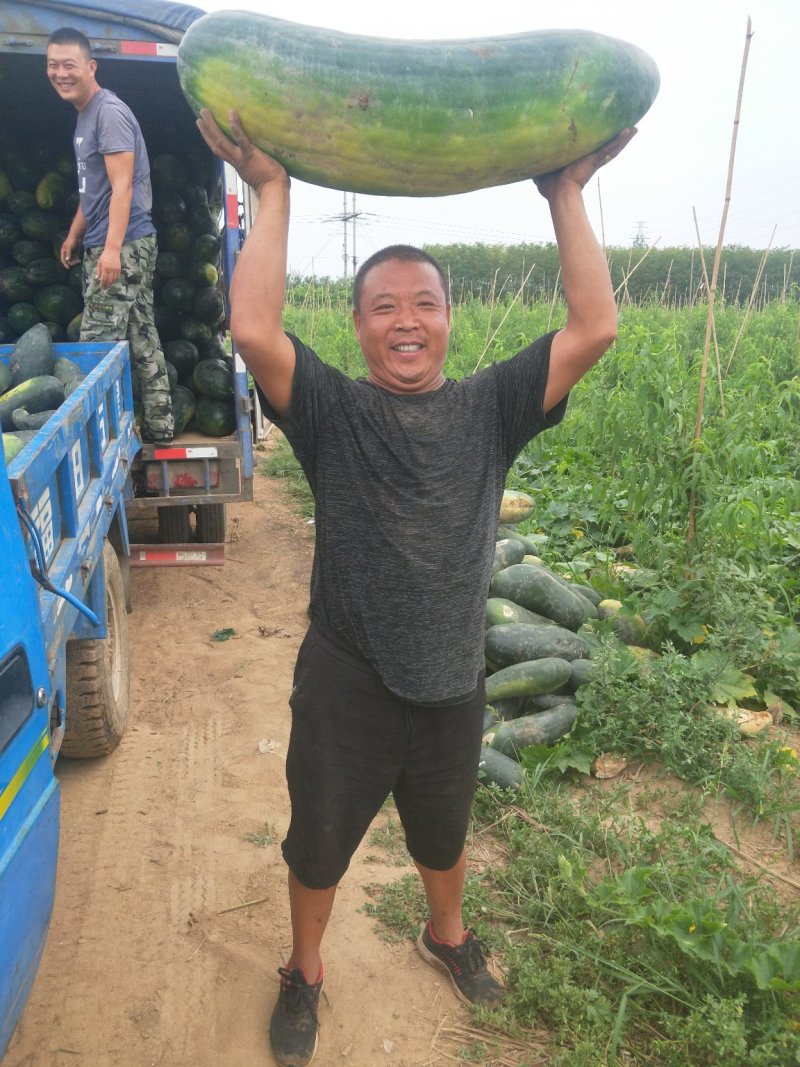 物美价廉
