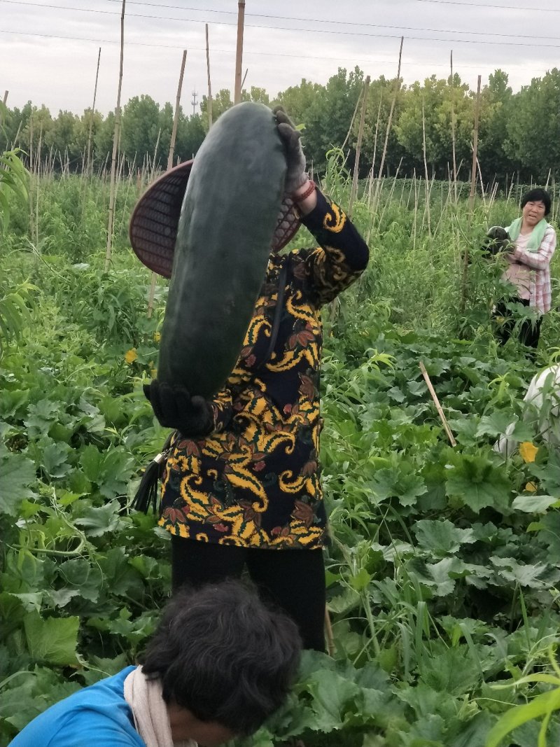 物美价廉